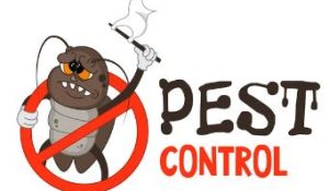 GENERAL PEST SERVICES
(Non Termite)
Ph  0412 498 722